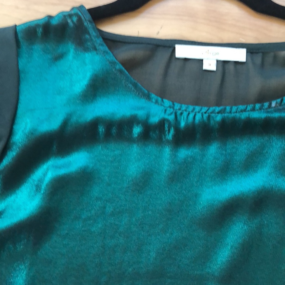 An’ge top metallic emerald sheer top